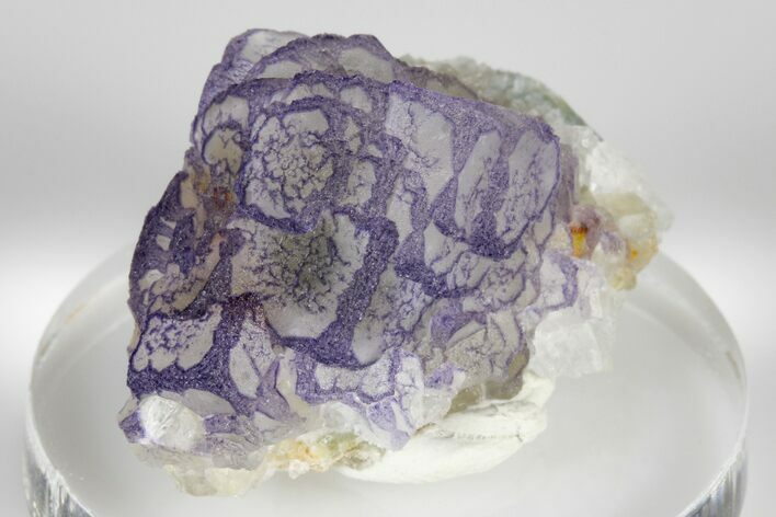 Purple Edge Fluorite Crystal Cluster - China #182790